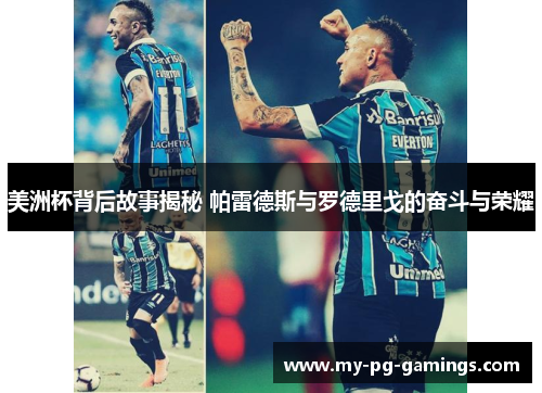 美洲杯背后故事揭秘 帕雷德斯与罗德里戈的奋斗与荣耀