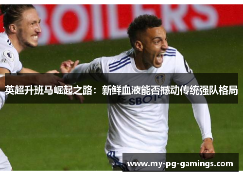 英超升班马崛起之路：新鲜血液能否撼动传统强队格局
