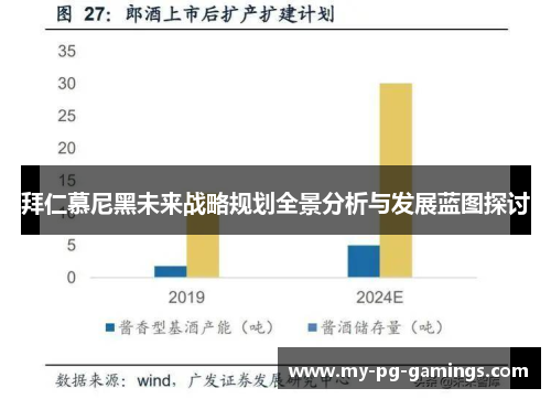拜仁慕尼黑未来战略规划全景分析与发展蓝图探讨