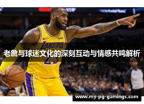 老詹与球迷文化的深刻互动与情感共鸣解析