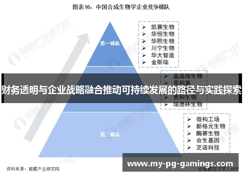 财务透明与企业战略融合推动可持续发展的路径与实践探索 财务透明与企业战略融合推动可持续发展的路径与实践探索