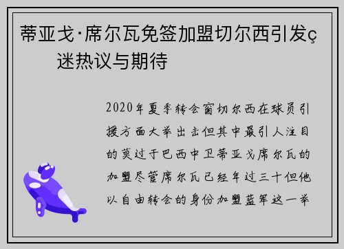 蒂亚戈·席尔瓦免签加盟切尔西引发球迷热议与期待